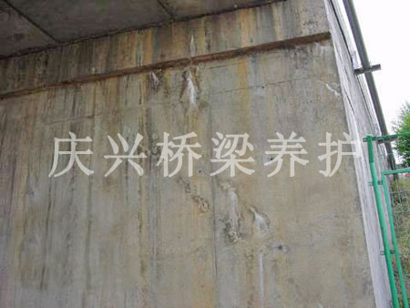 ѿpa